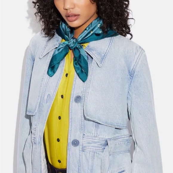 Horse And Carriage Tea Rose Print Silk Bandana from Coach - Picture 2 of 5